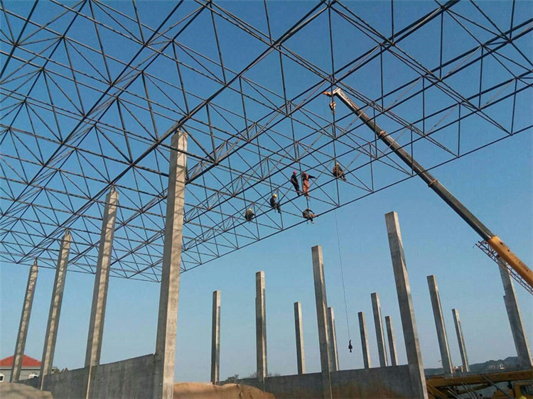 潍坊加气站钢结构网架案例10